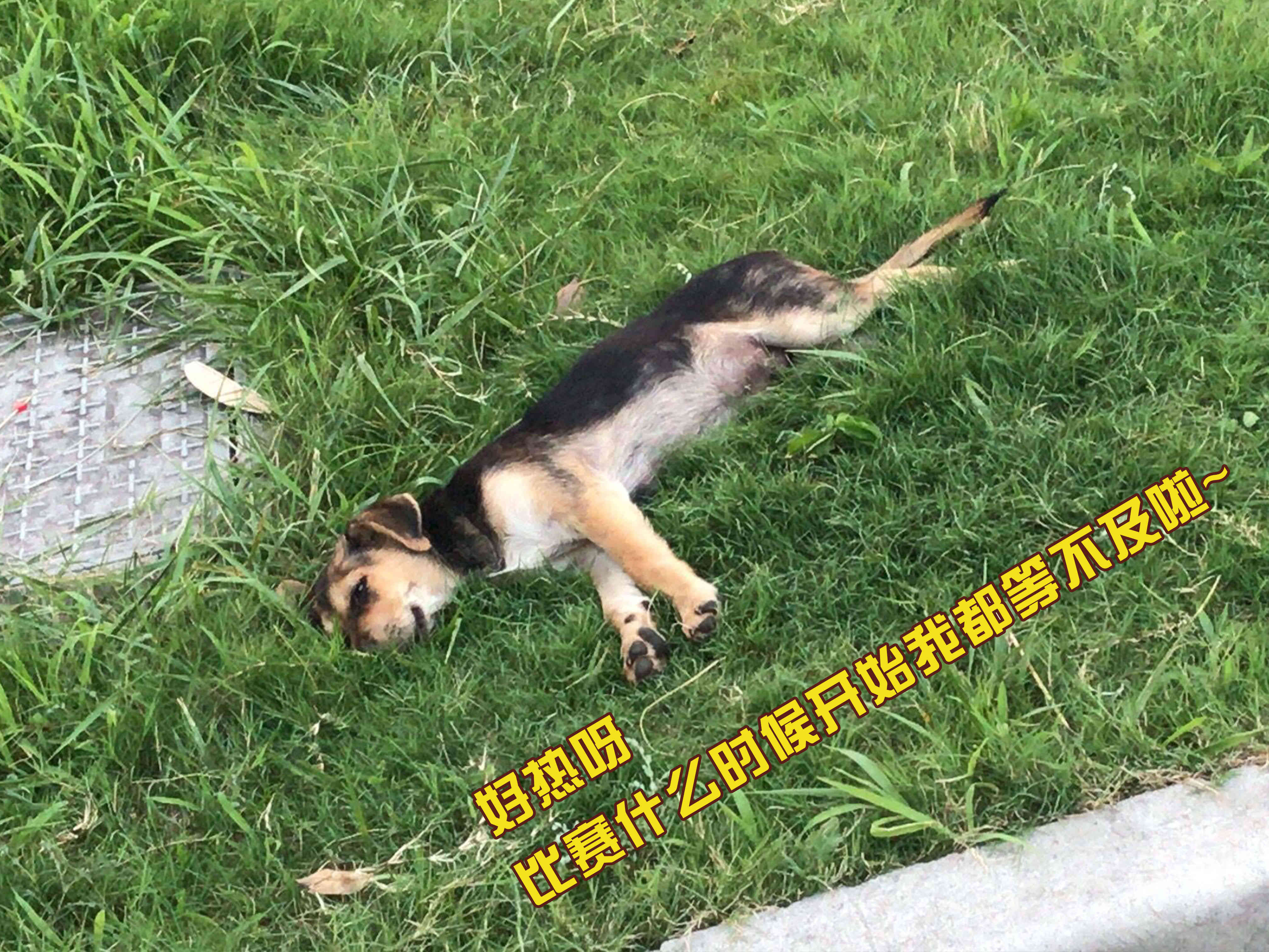 ����37�棿�����ǵ�������Բ�ֹ�ڴˣ�(ͼ2)